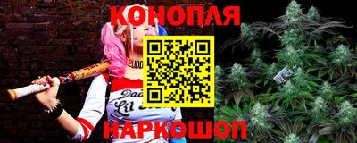 гидра Балашиха