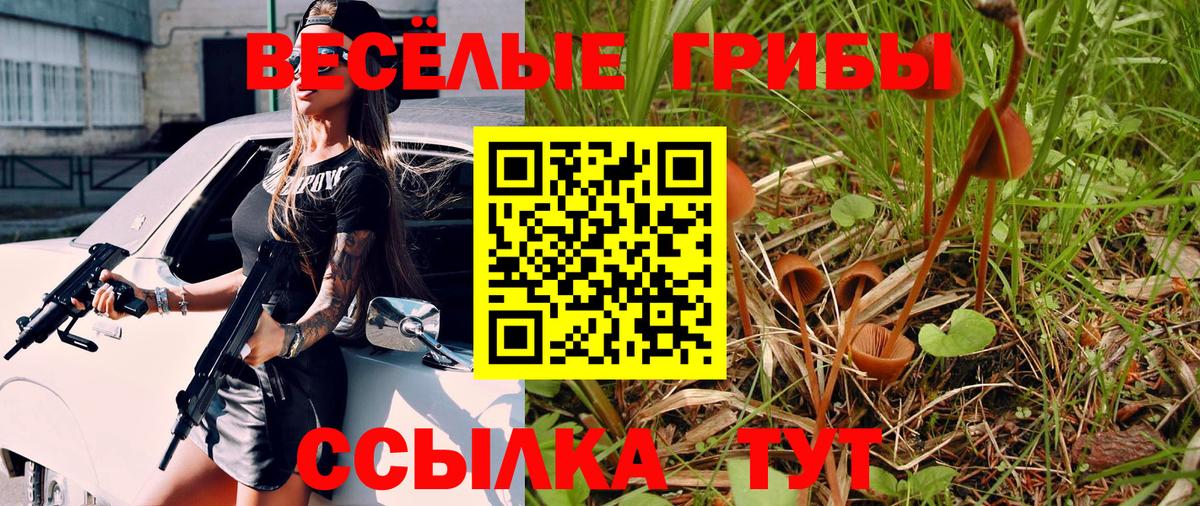 Галлюциногенные грибы Cubensis Гай