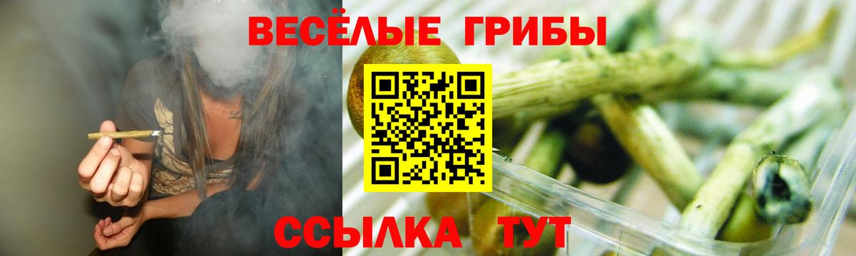 Псилоцибиновые грибы Cubensis  Вход с VPN  Гай 